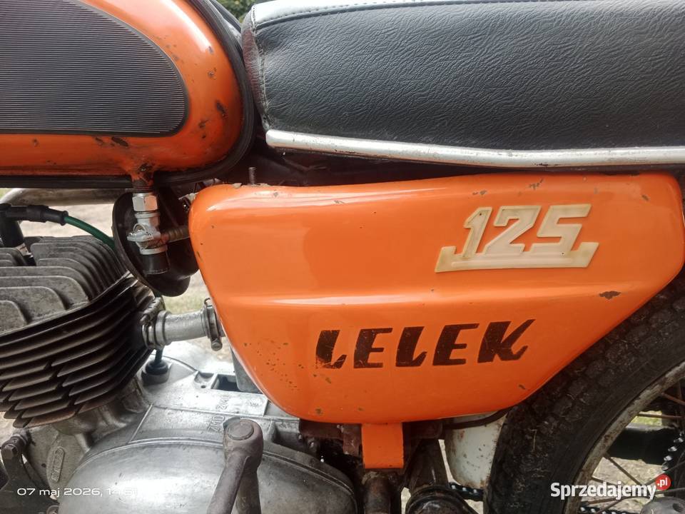 Wsk lelek 76 dudek bąk gil oryginał pomorskie Czersk