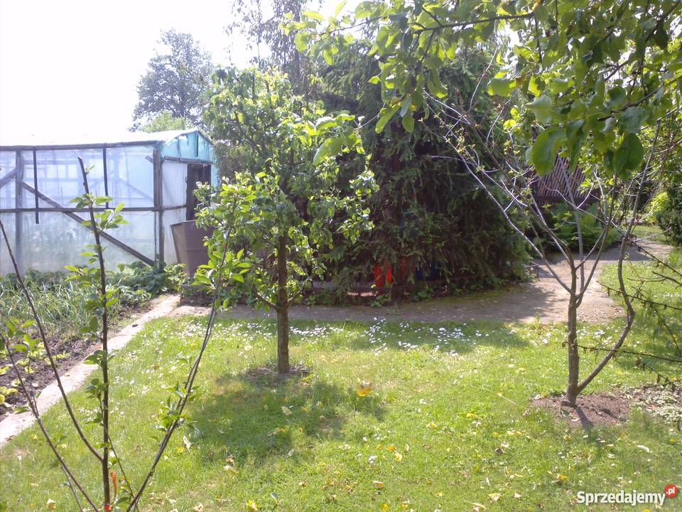 Działka rekreacyjna ogródki działkowe LOTNKI w Mielec