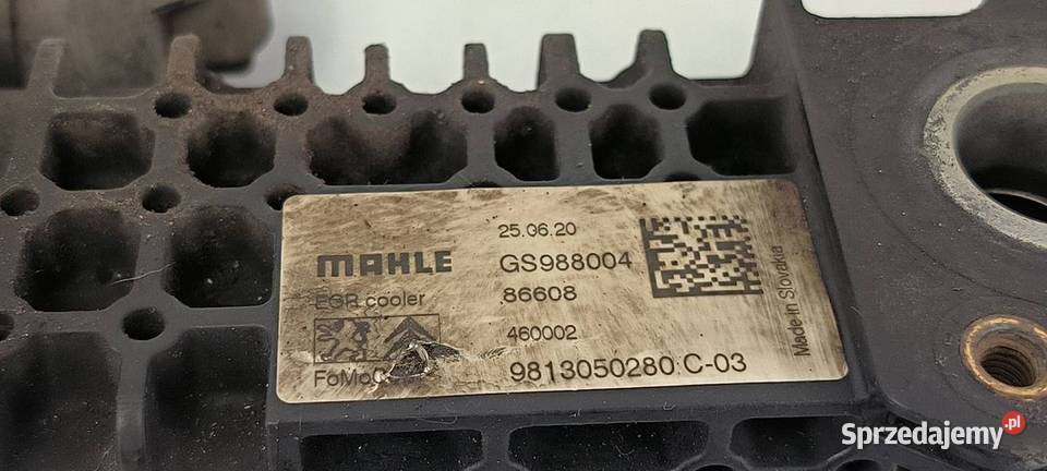 CHŁODNICZKA SPALIN FORD TRANSIT CONNECT II Lipno sprzedam