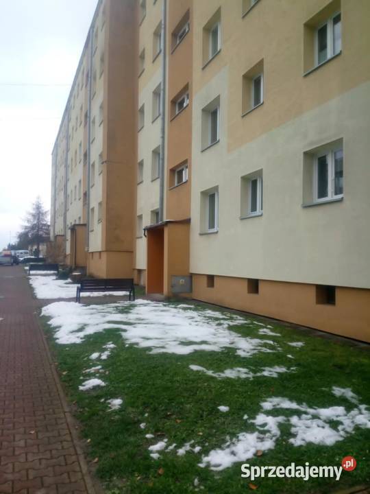 Opróżnianie mieszkań Wywóz śmieci złomu itp Jasło sprzedam