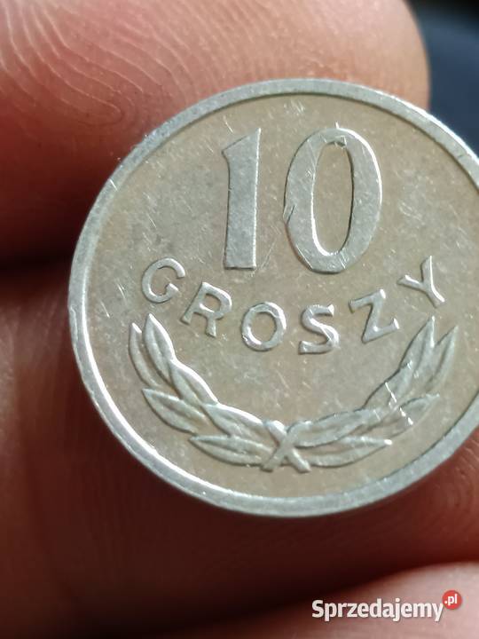 Sprzedam 10 gr 1981 r skretka Chełm