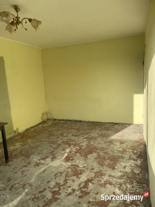 Mieszkanie z potencjałem na Oleskiej we 11285zł/m2 dolnośląskie Wrocław