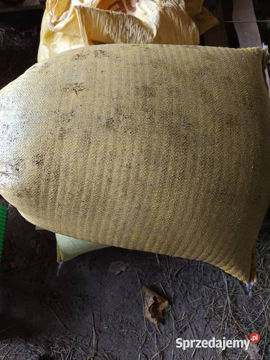 Sprzedam mazowieckie Żelazowa Wola