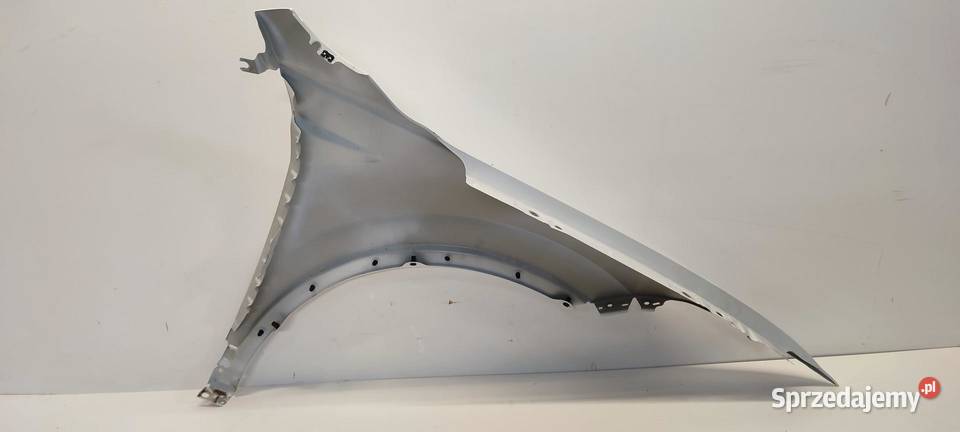 TIGUAN ALLSPACE BŁOTNIK LEWY PRZÓD LC9A 2024 osobowe