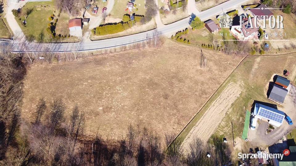 Działka budowlana 1279 ara Bieśnik gm Łużna Sprzedaż