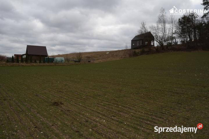Działka Równe 14000m2 sprzedam