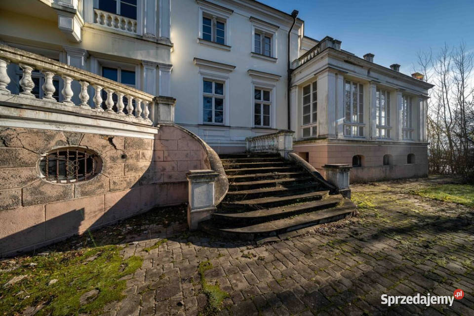 PAŁAC JEZIOREM 4 HA GOTOWY DO ARANŻACJI wielkopolskie Lubstów