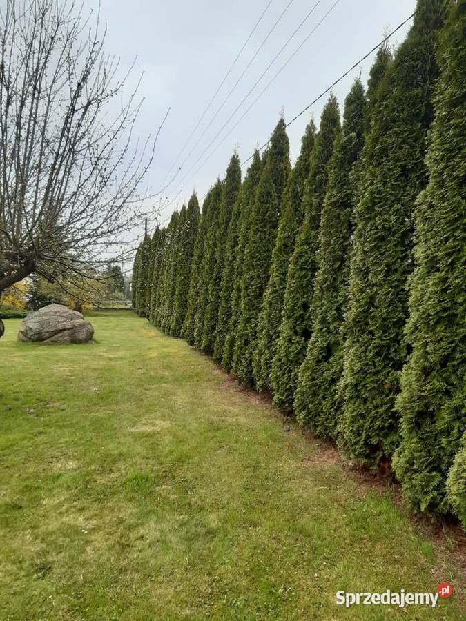 Usługi Ogrodnicze lubelskie Kraśnik