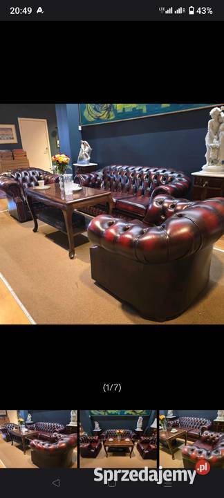 Chesterfield angielski Biała Podlaska