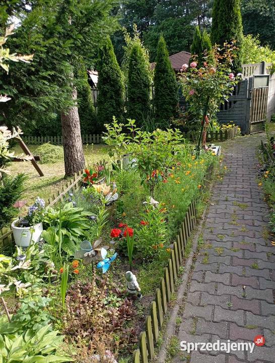 Odstąpię ogródek Katowice śląskie