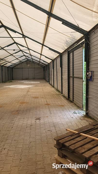 Hala namiotowa 8x35 ściana wys 3 metry Sprzedaż sprzedam