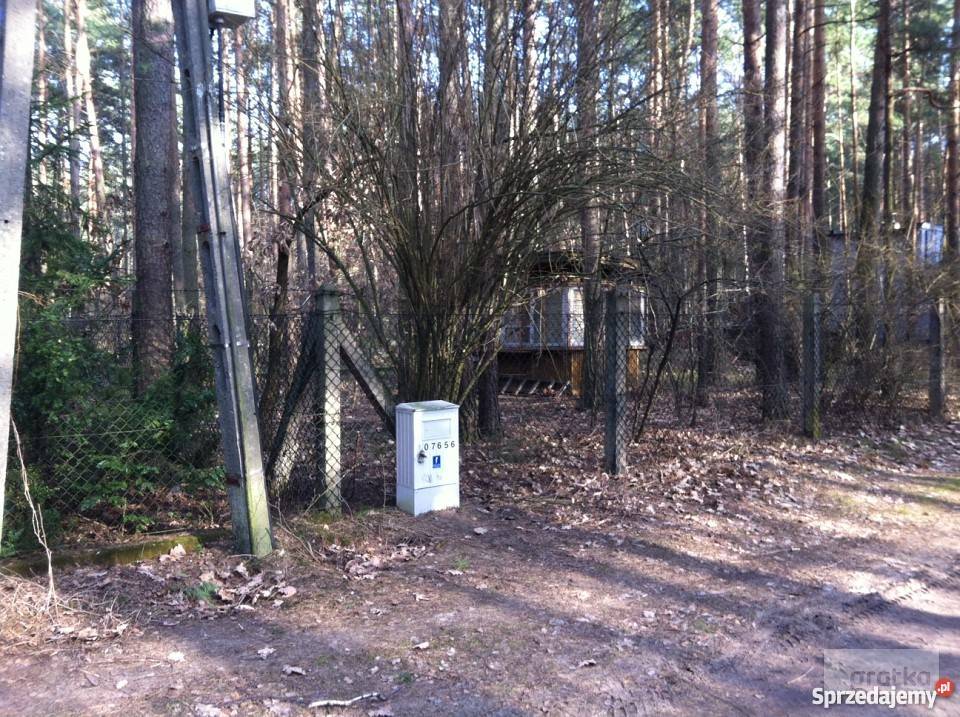 Działka leśna Grotniki Ustronie Kraszewskiego Grunty i działki Grotniki