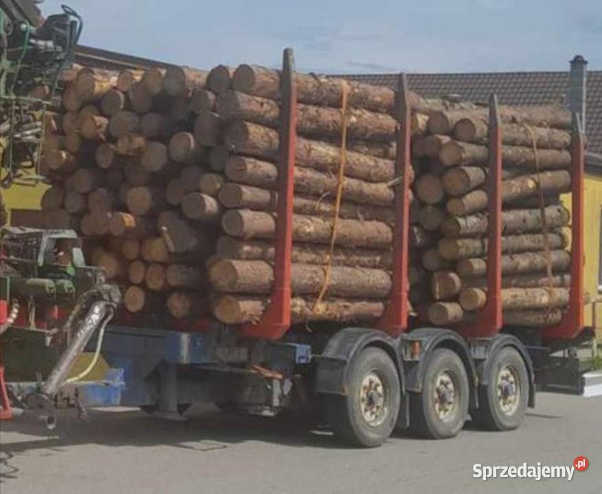 Przyczepa tandem 3 osiowa na poduszkach do Morąg