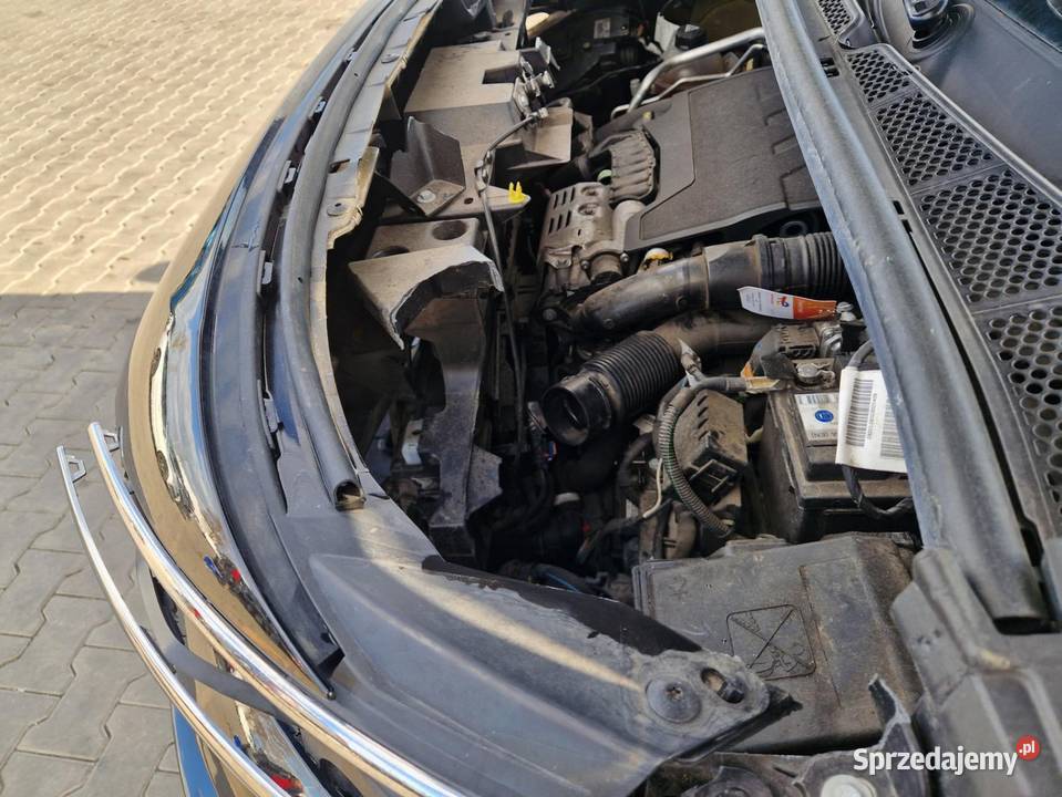 Citron Berlingo Automat 108tyskm z Niemiec 21r Rok produkcji 2021 wielkopolskie