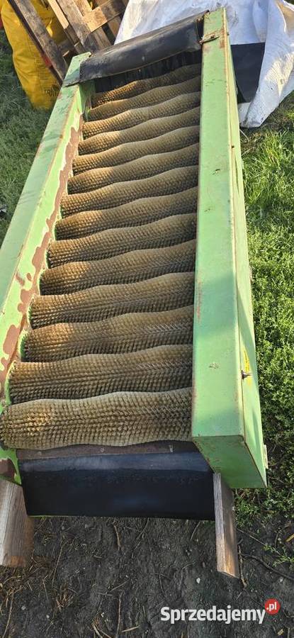 Szczotkarka do warzyw wielkopolskie Ślesin