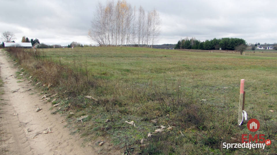 Grunt Tołcze 1000m2 prąd podlaskie sprzedam