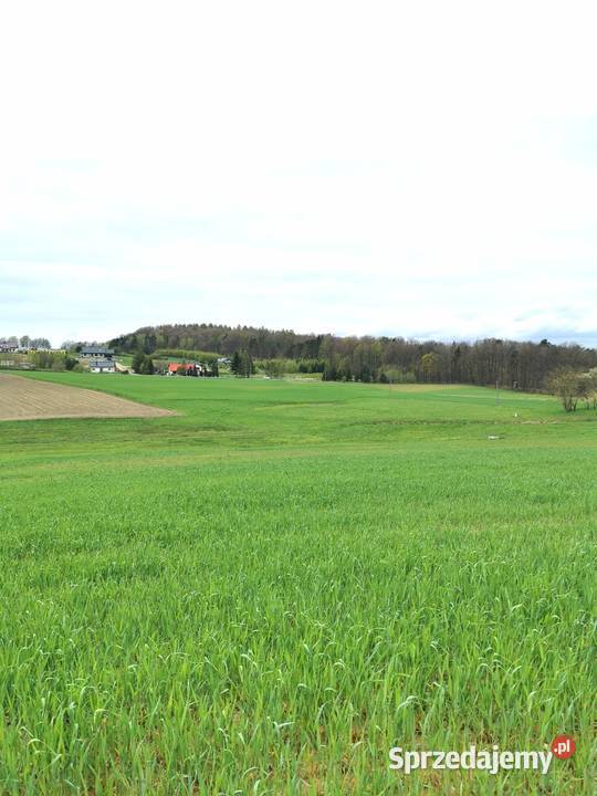 Zakrzewo działka inwestycyjna otoczona przyrodą 18543m2