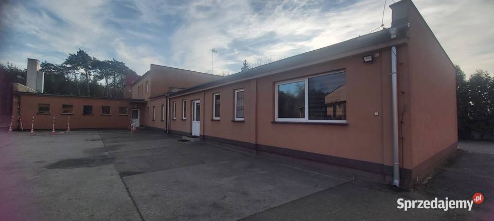 Zabudowa produkcyjno usługowo magazynowa Wioska