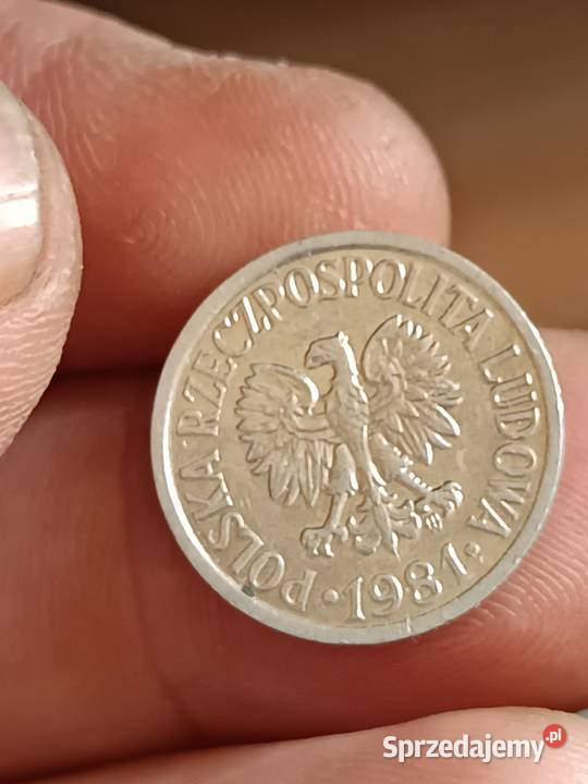 Sprzedam 10 gr 1981 r lekka skretka Chełm