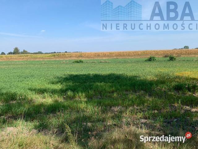 Złotkowy gm Rychwał 3 działki budowlane na