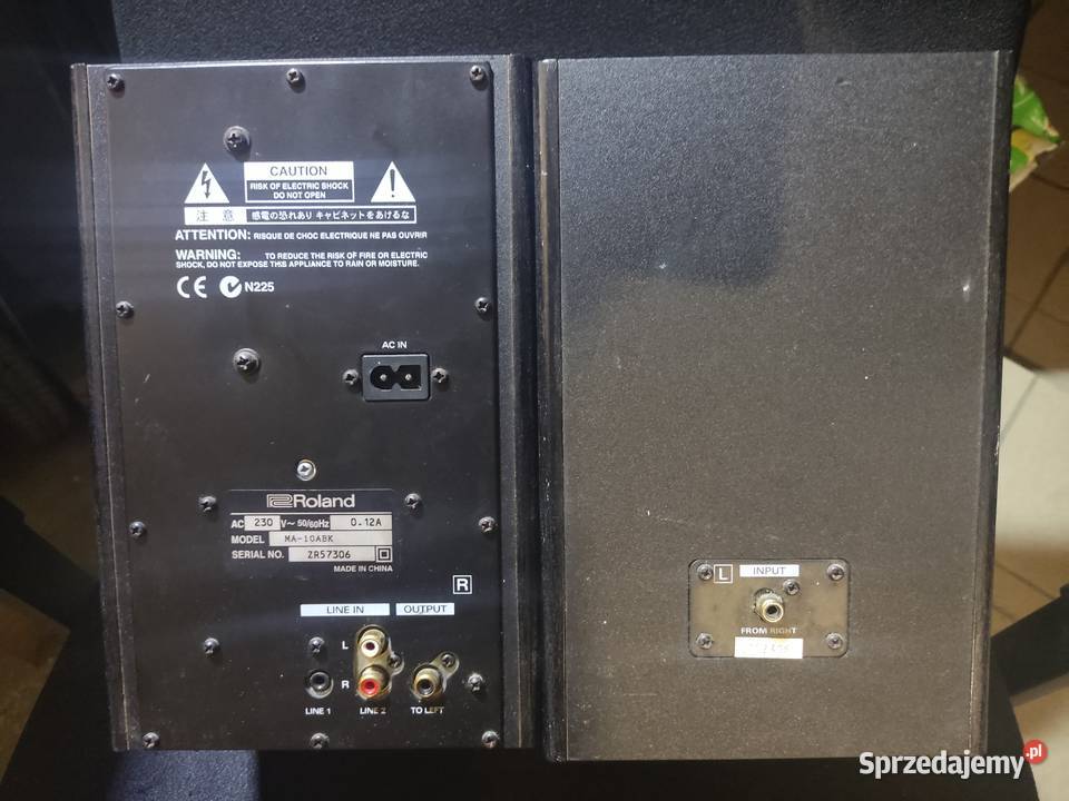 Monitory aktywne ROLAND MA10ABK