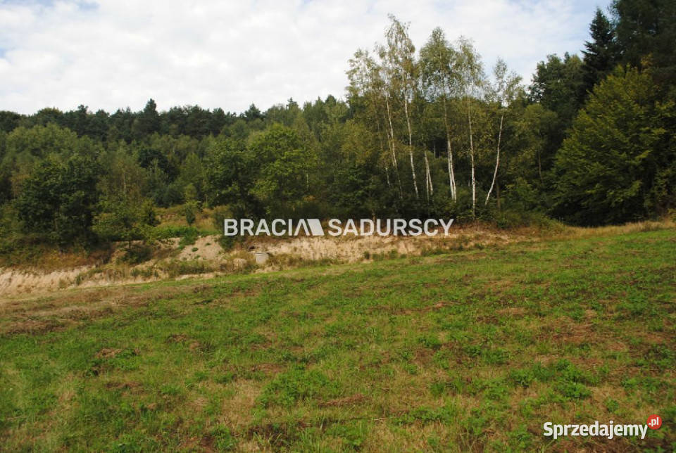 Grunt Gosprzydowa 9000m2 sprzedam