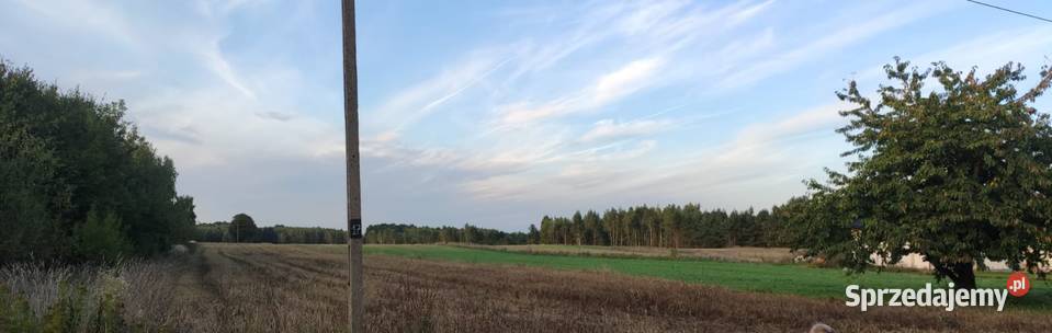 Działka na sprzedaż budowlana Przyłęk