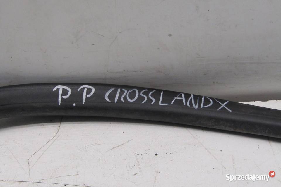 USZCZELKA KAROSERYJNA DRZWI PRAWY PRZÓD OPEL