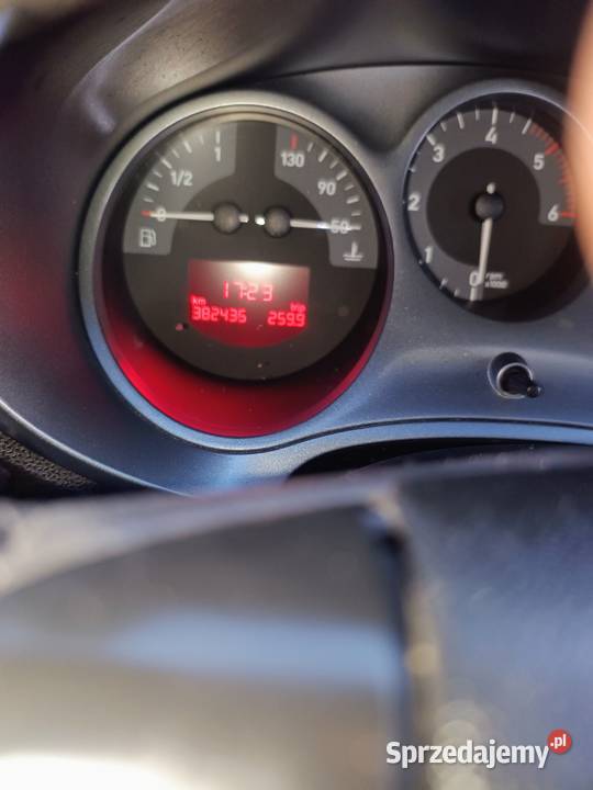 Piękny leon 460km Chmielnik sprzedam