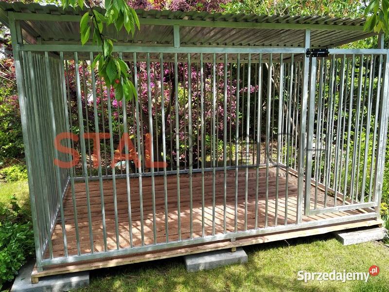 Kojecklatka psa Mława