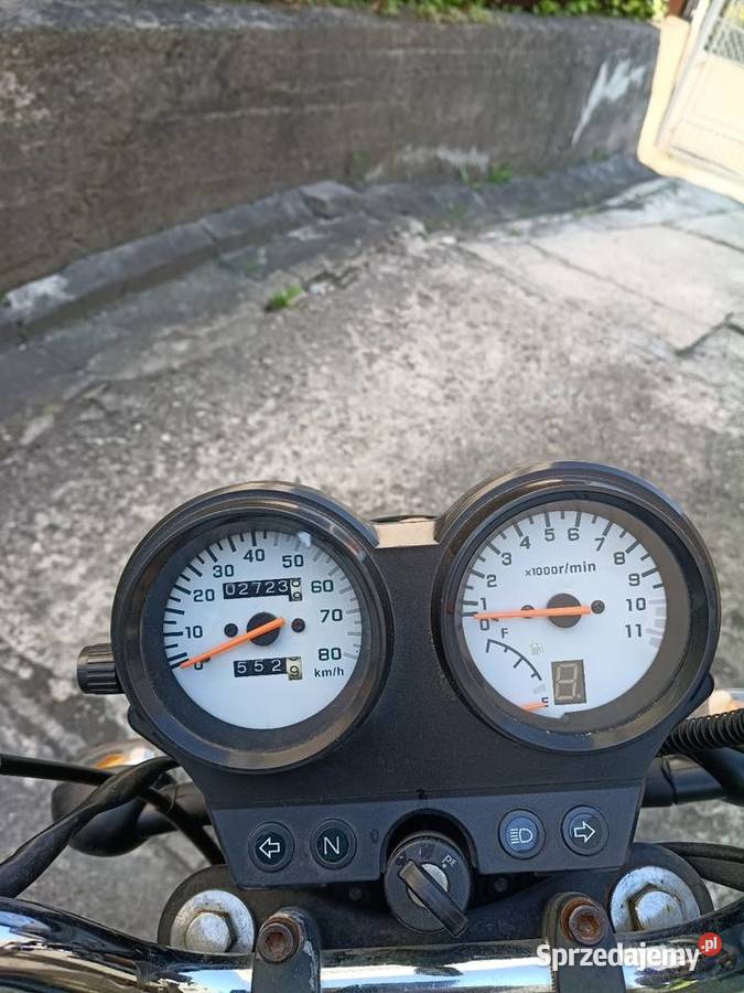 Barton dafier Nowy Wiśnicz