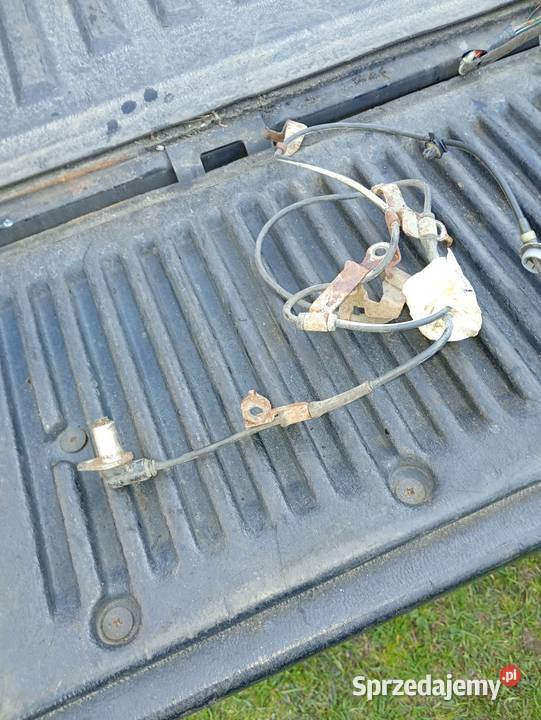 Kolektor ford ranger Łowicz
