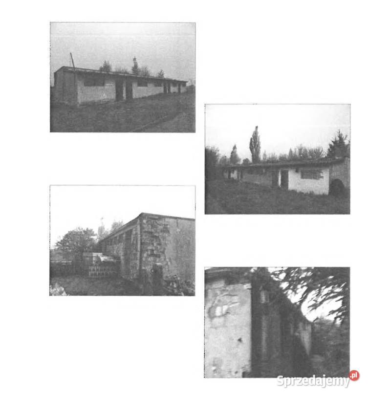 Dwa boksy gospodarcze