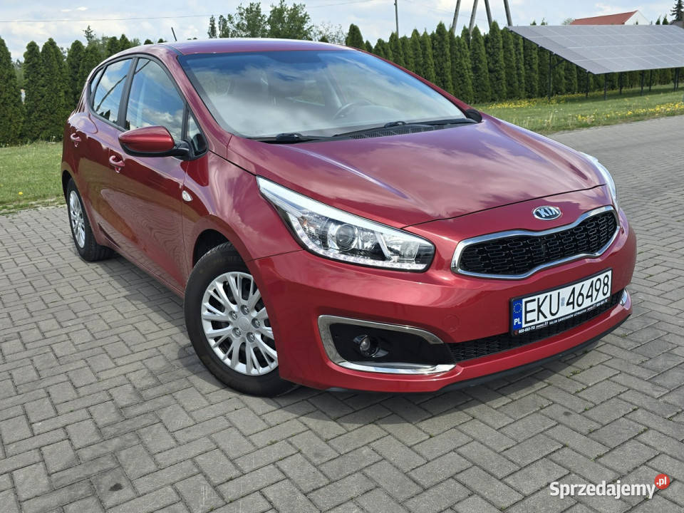 Kia Ceed 16crdi Zarejestrowany w Polsce Kutno