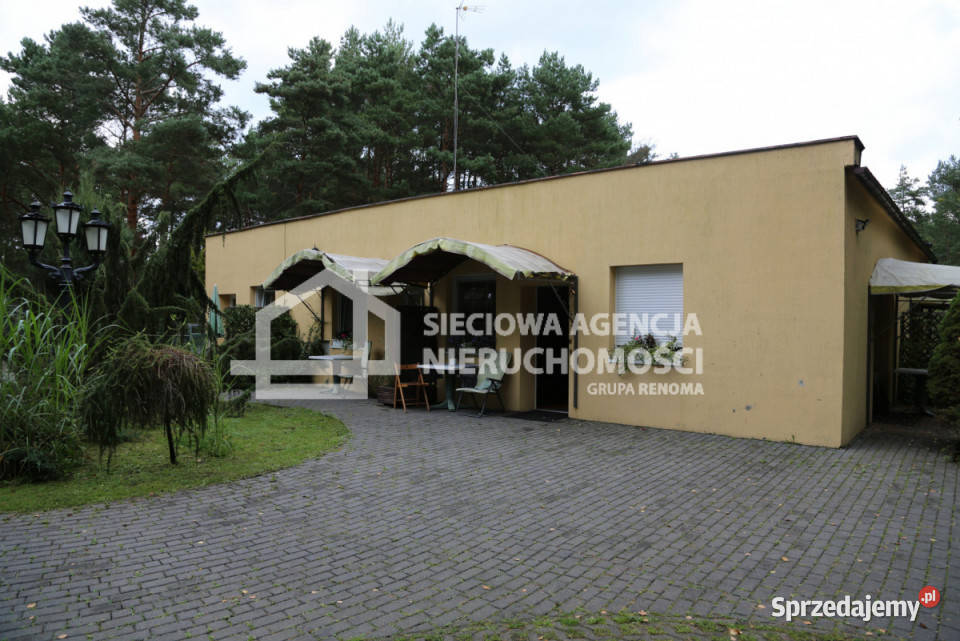 sprzedaży działki Łeba 8466m2 asfalt sprzedam