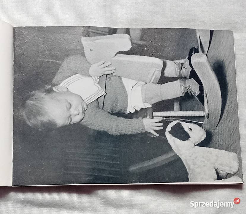 Poradnik Der Foto Dienst Der Blitzlicht Technik Antyki, Sztuka, Kolekcje Koźminek