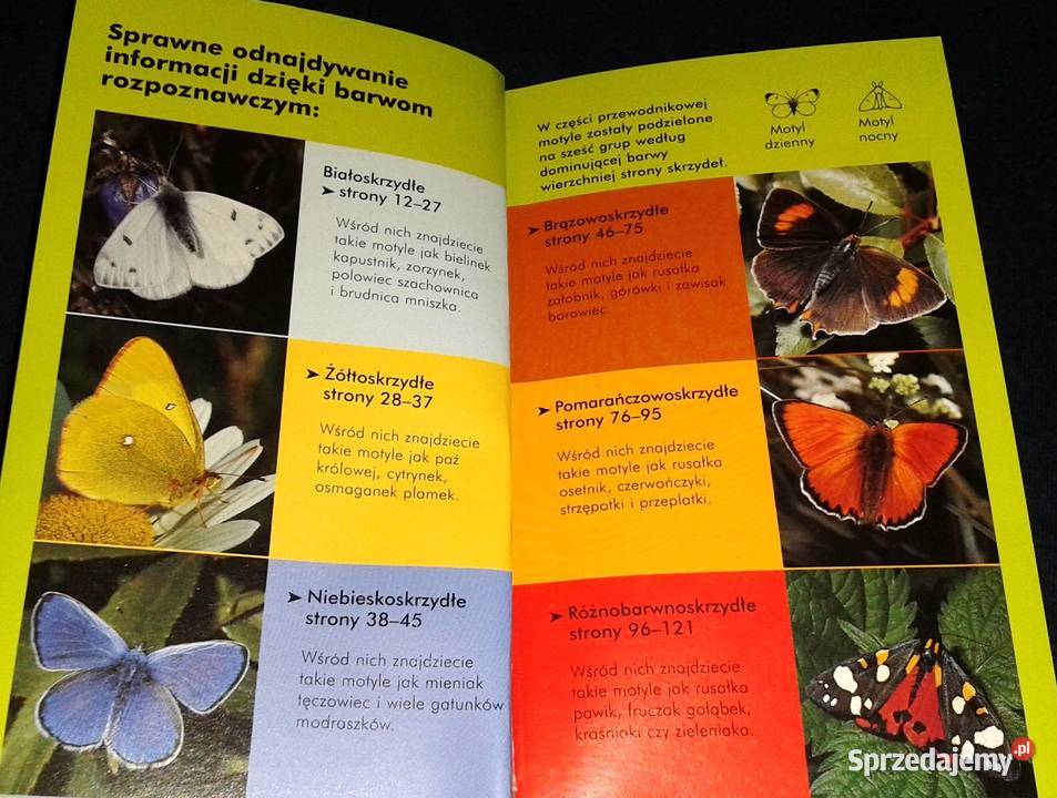 Motyle Atlas łatwe rozpoznawanie red Robert Chełm
