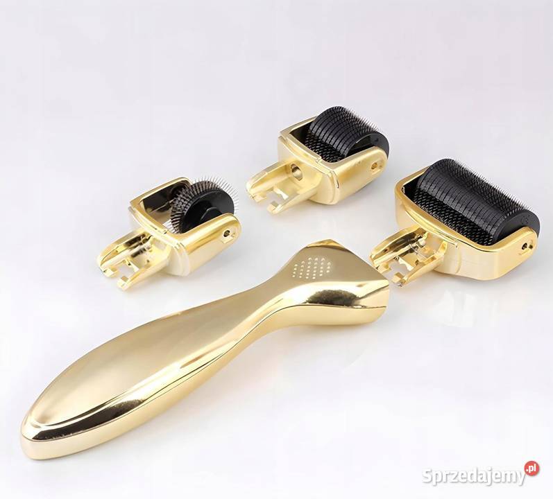 ROLLER DO TWARZY MASAŻER MEZOTERAPIA IGŁY 3W1 DO Pozostałe śląskie Sosnowiec