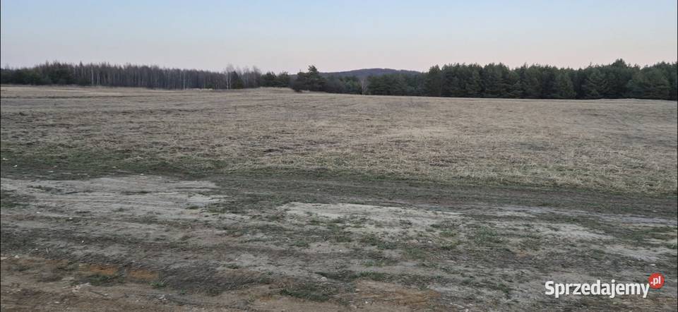 Sprzedam działkę 19950 m2 rolno budowlaną Chechło