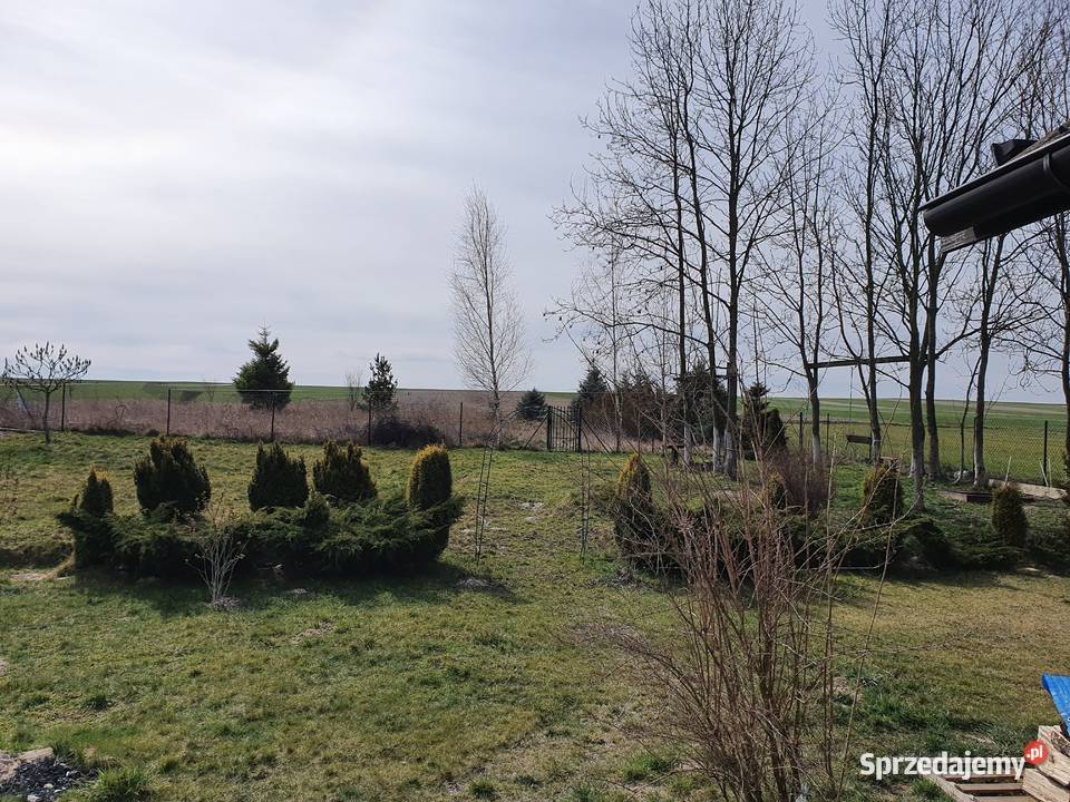 Dom z duża działka 2800m2 sprzedam
