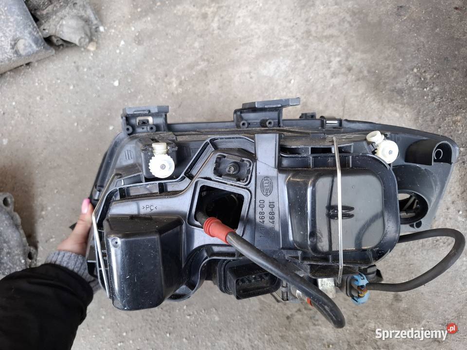 Lampa Prawa Przód Xenon Audi A6 C5 Wisznice sprzedam