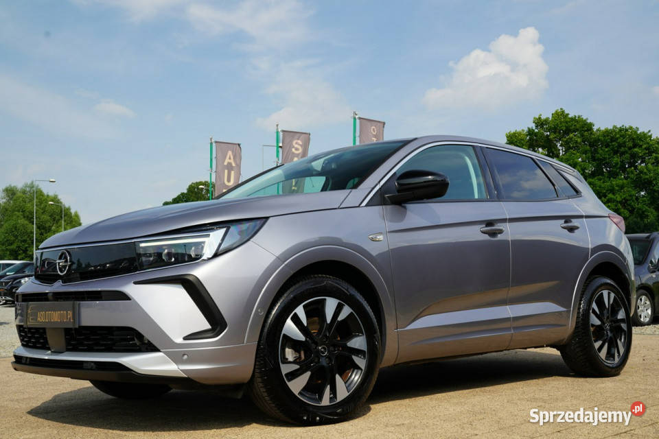Opel Grandland X FUL LED skóra NAWI automat8 system Start-Stop Otmuchów