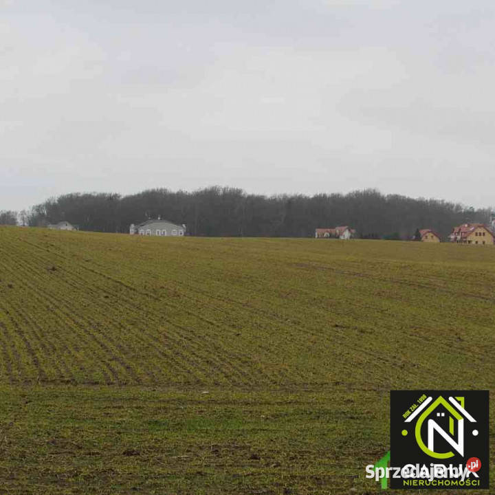 sprzedaży działki 13332m2 Rewal