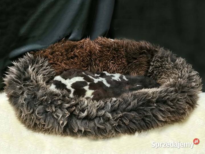 Legowiska z owczej skóry XXL Dla psów Jaworzyna Śląska
