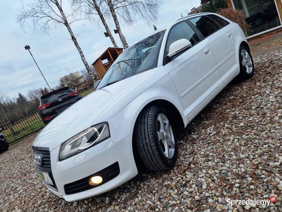 Audi A3 14 Benzyna 5 Drzwiowy Sprowadzony biały sprzedam