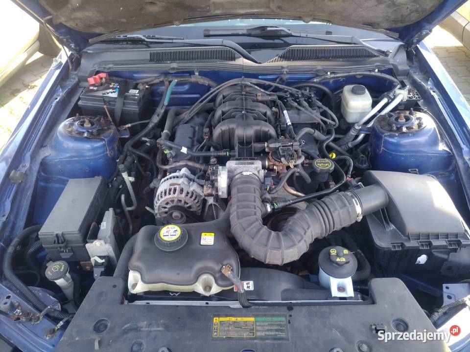 Mustang 2008 manual 40 Mustang Opole