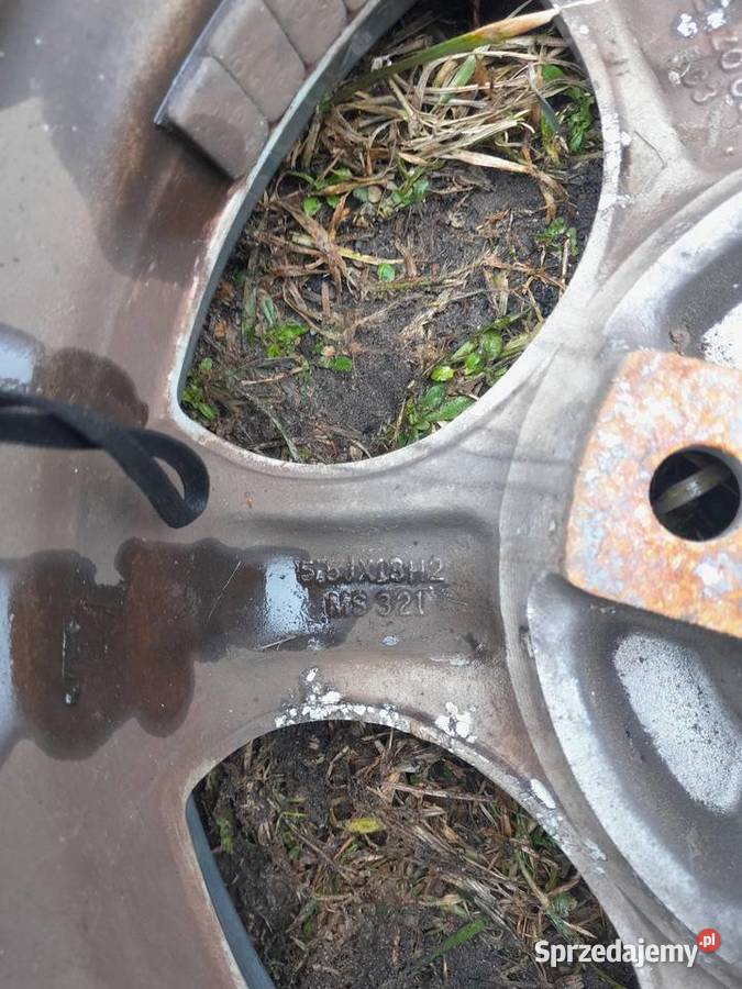 enzo cup 13 cult 126pcorsaunotrabi