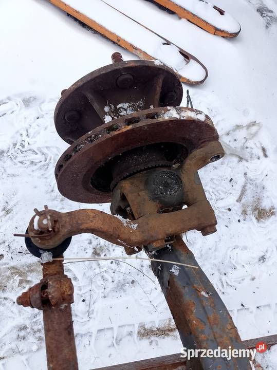 Piasta mascott Kakonin