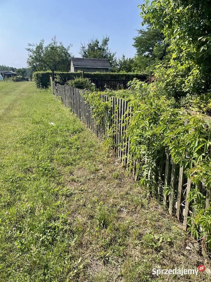 Aeracja piaskowanie wertykulacja trawnika usługi opolskie Opole ogród