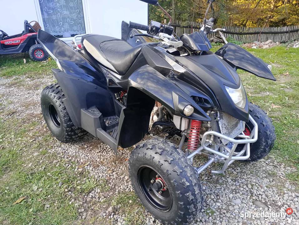 Quad 300 Bashan Tuchów